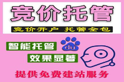 百度竞价SEM成功案例：揭秘广告投放秘诀